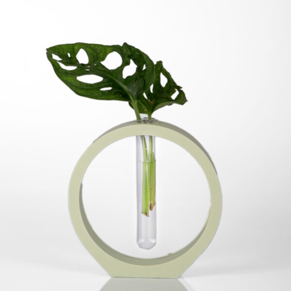 Lira | Round Test Tube Vase Mint